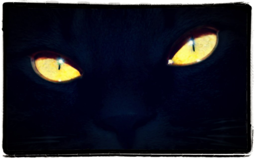 cateyes