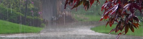 lluvia