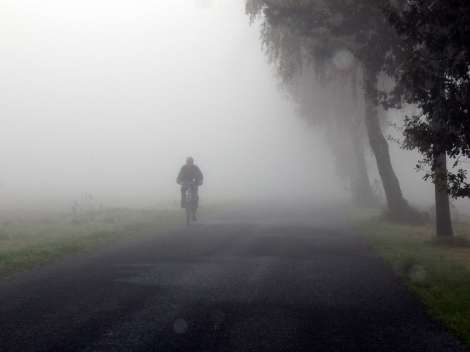 niebla